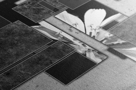 TABLOU ABSTRACȚIE FLORALĂ ÎN DESIGN ALB-NEGRU - TABLOURI ALB-NEGRU - TABLOURI