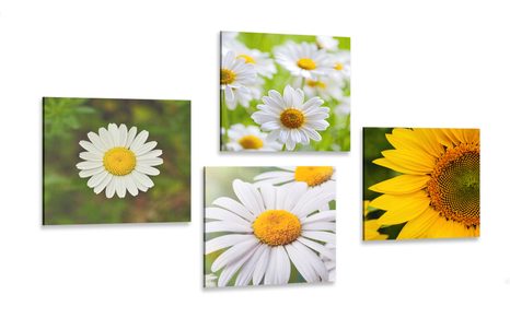 CANVAS PRINT SET MEADOW FLOWERS - SET OF PICTURES - PICTURES