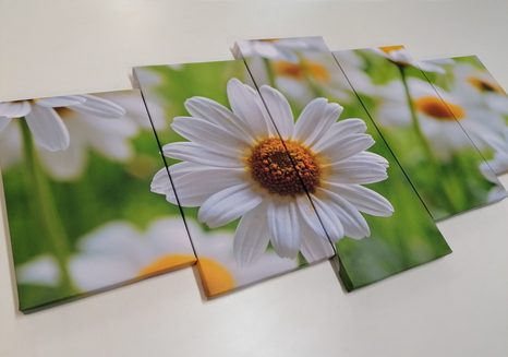 5-TEILIGES WANDBILD FRÜHLINGSWIESE VOLLER BLUMEN - BILDER BLUMEN - BILDER