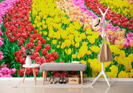 SAMOLEPÍCÍ FOTOTAPETA ZAHRADA PLNÁ TULIPÁNŮ - SAMOLEPÍCÍ TAPETY - TAPETY