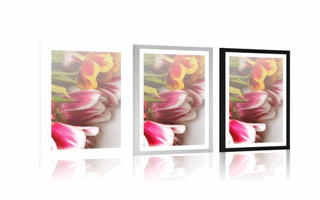 AFFICHE AVEC PASSE-PARTOUT – BOUQUET DE TULIPES COLORÉES - FLEURS - AFFICHES