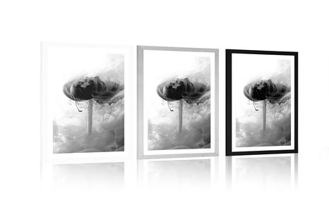 AFFICHE – FLEUR INTÉRESSANTE EN NOIR ET BLANC - NOIR ET BLANC - AFFICHES