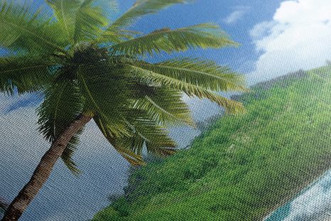 ΕΙΚΌΝΑ ΌΜΟΡΦΗ ΠΑΡΑΛΊΑ ΣΤΟ ΝΗΣΊ ΤΩΝ ΣΕΫΧΕΛΛΏΝ - ΠΊΝΑΚΕΣ ΦΎΣΗΣ ΚΑΙ ΤΟΠΊΟΥ - ΠΊΝΑΚΕΣ