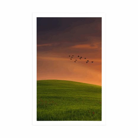 PLAKÁT STROM NA LOUCE - PŘÍRODA - PLAKÁTY