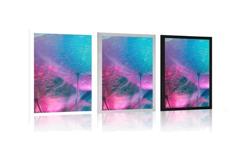 POSTER DANDELION IN PASTEL COLORS - FLOWERS - POSTERS