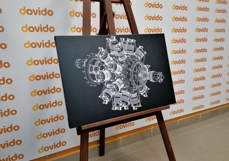 OBRAZ HVĚZDICOVÝ MOTOR - ČERNOBÍLÉ OBRAZY - OBRAZY