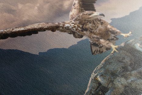 ΕΙΚΌΝΑ ΑΕΤΟΎ ΜΕ ΑΠΛΩΜΈΝΑ ΦΤΕΡΆ ΠΆΝΩ ΑΠΌ ΤΑ ΒΟΥΝΆ - ΠΊΝΑΚΕΣ ΖΏΩΝ - ΠΊΝΑΚΕΣ