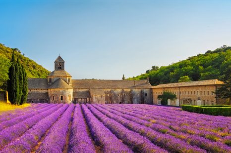 SELBSTKLEBENDE FOTOTAPETE PROVENCE MIT LAVENDELFELDERN - SELBSTKLEBENDE TAPETEN - TAPETEN