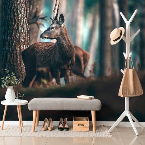 WALL MURAL DEER IN A PINE FOREST - WALLPAPERS ANIMALS - WALLPAPERS