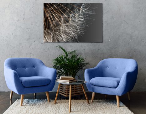 OBRAZ KRÁSA PAMPELIŠKY - OBRAZY KVĚTŮ - OBRAZY