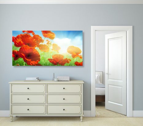 TABLOU MAC SĂLBATIC PE PAJIȘTE - TABLOU FLORI - TABLOURI