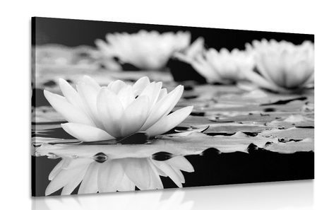 CANVAS PRINT LOTUS FLOWER IN BLACK AND WHITE - BLACK AND WHITE PICTURES - PICTURES