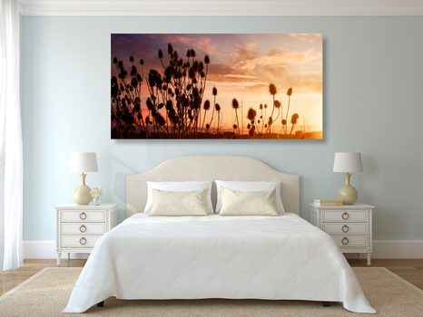 OBRAZ STÉBLA TRÁVY NA POLI - OBRAZY PŘÍRODY A KRAJINY - OBRAZY