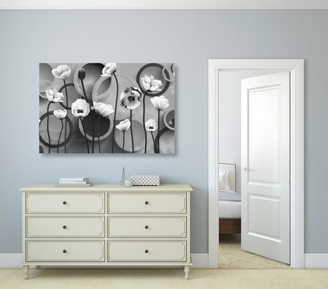 ΕΙΚΌΝΑ ΠΑΠΑΡΟΎΝΕΣ ΣΕ ΑΦΗΡΗΜΈΝΟ ΦΌΝΤΟ ΣΕ ΑΣΠΡΌΜΑΥΡΟ - ΠΊΝΑΚΕΣ ΑΣΠΡΌΜΑΥΡΕΣ - ΠΊΝΑΚΕΣ