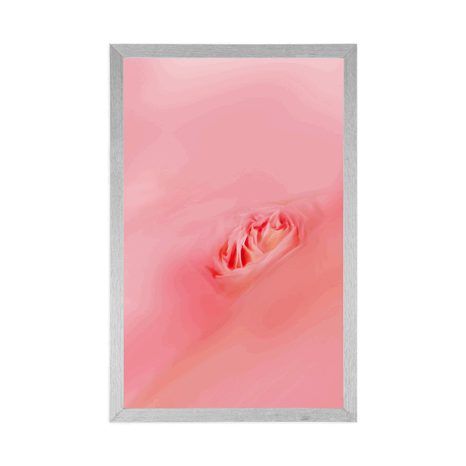 POSTER IN DER UMARMUNG VON ROSA - MOTIVE AUS UNSERER WERKSTATT - POSTER