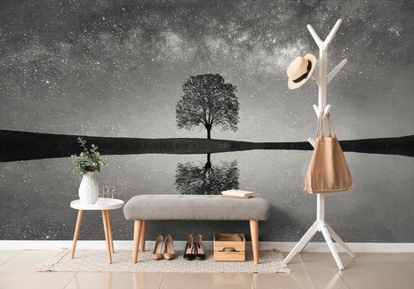 SAMOLEPÍCÍ FOTOTAPETA ČERNOBÍLÁ HVĚZDNÁ OBLOHA NAD OSAMĚLÝM STROMEM - SAMOLEPÍCÍ TAPETY - TAPETY