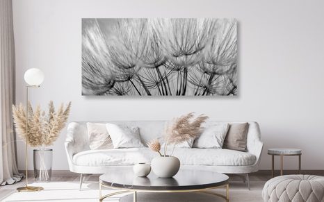 STAMPA SU TELA – SEMI DI SOFFIONE IN BIANCO E NERO - QUADRI BIANCO E NERO - STAMPE E QUADRI