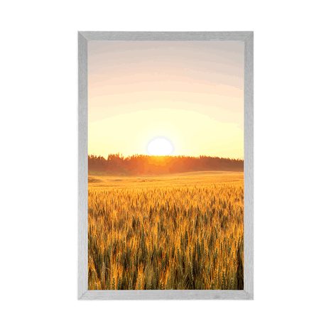 POSTER SUNSET OVER THE FIELD - NATURE - POSTERS