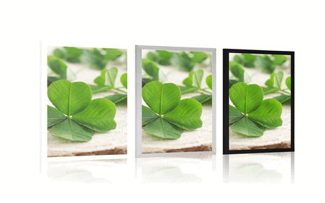 POSTER GRÜNES VIERBLÄTTRIGES KLEEBLATT - NATUR - POSTER