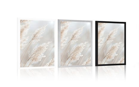 PLAKÁT BÉŽOVÉ TŘTINY - BOTANICKÉ - PLAKÁTY