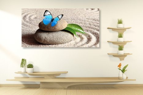 OBRAZ MODRÝ MOTÝL NA ZEN KAMENI - OBRAZY FENG SHUI - OBRAZY