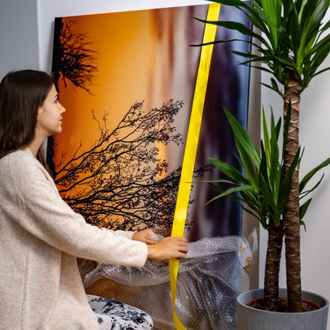 КАРТИНА НА ПЛАТНО – КЛОНКИ ПРИ ЗАЛЕЗ - КАРТИНИ НА ПРИРОДАТА И ПЕЙЗАЖИ - КАРТИНИ