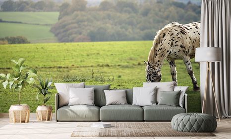 SELBSTKLEBENDE FOTOTAPETE PFERD AUF DER WIESE - SELBSTKLEBENDE TAPETEN - TAPETEN