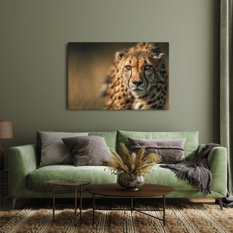 OBRAZ ELEGANCE AFRICKÉHO GEPARDA - OBRAZY LVI A TYGŘI - OBRAZY