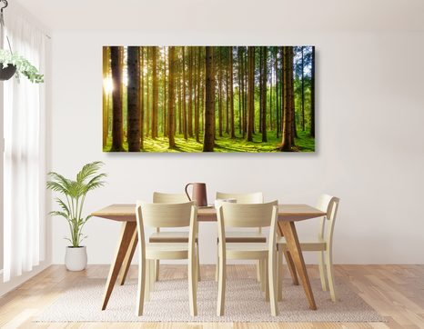 REGGEL AZ ERDŐBEN - TERMÉSZET- ÉS TÁJKÉPEK - KÉPEK