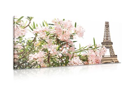 CANVAS PRINT EIFFEL TOWER AND PINK FLOWERS - PICTURES OF CITIES - PICTURES