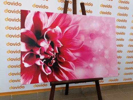 КАРТИНА НА ПЛАТНО – РОЗОВ ЦВЯТ - КАРТИНИ С ЦВЕТЯ - КАРТИНИ