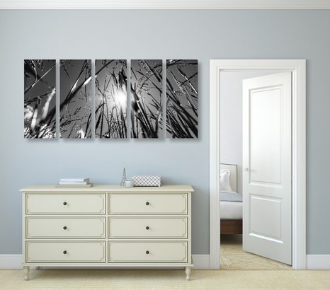 5-DÍLNÝ OBRAZ POLNÍ TRÁVA V ČERNOBÍLÉM PROVEDENÍ - ČERNOBÍLÉ OBRAZY - OBRAZY