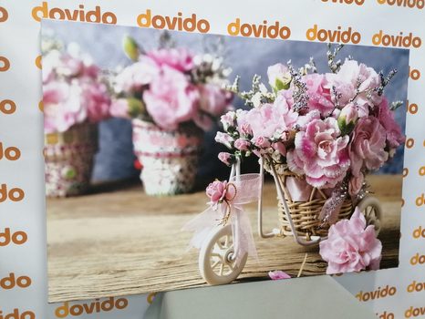 OBRAZ ROMANTICKÝ RŮŽOVÝ KARAFIÁT VE VINTAGE NÁDECHU - VINTAGE A RETRO OBRAZY - OBRAZY