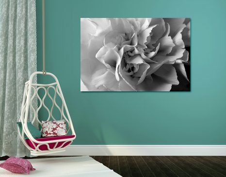 KÉP SZEKFŰ FEKETE FEHÉRBEN - FEKETE-FEHÉR KÉPEK - KÉPEK