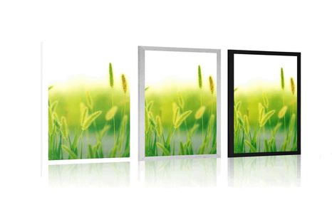 POSTER – STELI D'ERBA IN VERDE - NATURA - POSTER