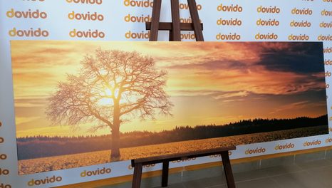 OBRAZ OSAMĚLÉHO STROMU - OBRAZY PŘÍRODY A KRAJINY - OBRAZY