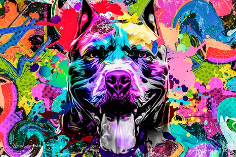 CARTA DA PARATI – ILLUSTRAZIONE MULTICOLORE DI UN CANE - CARTA DA PARATI ASTRATTI - CARTA DA PARATI