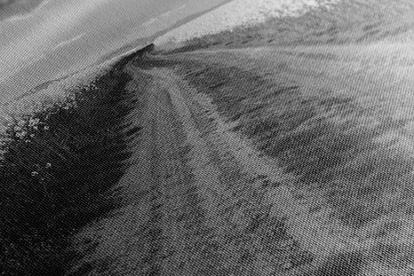 ΕΙΚΌΝΑ ΑΠΌ ΠΈΤΑΛΑ ΛΟΥΛΟΥΔΙΏΝ - ΠΊΝΑΚΕΣ ΑΣΠΡΌΜΑΥΡΕΣ - ΠΊΝΑΚΕΣ