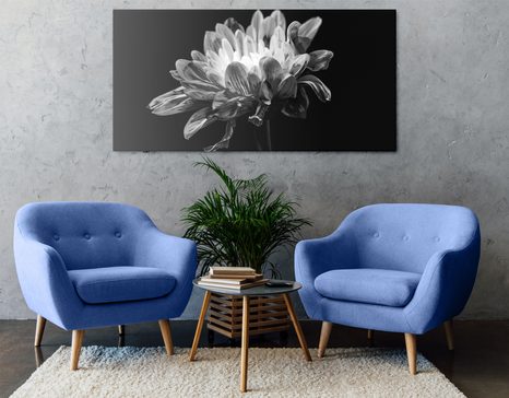 ΕΙΚΌΝΑ ΑΣΠΡΌΜΑΥΡΗ ΜΑΡΓΑΡΊΤΑ - ΠΊΝΑΚΕΣ ΑΣΠΡΌΜΑΥΡΕΣ - ΠΊΝΑΚΕΣ