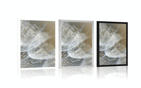 AFFICHE – MACRO PISSENLIT SUR FOND - FLEURS - AFFICHES