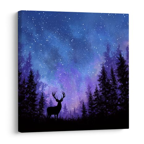 QUADRO SU TELA – INCANTO INVERNALE DEL CIELO NOTTURNO - QUADRI NATALIZI E INVERNALI - STAMPE E QUADRI