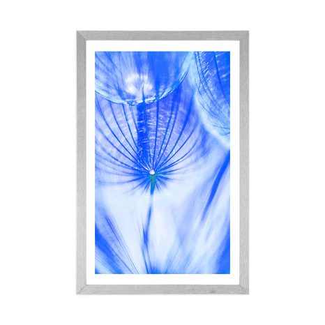 POSTER WITH MOUNT DANDELION IN BLUE DESIGN - FLOWERS - POSTERS