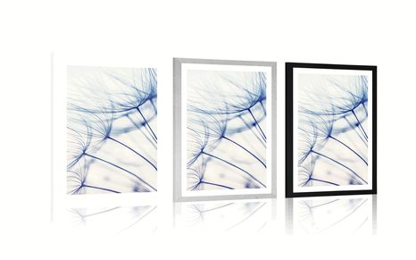 PLAKAT S PASPARTUJEM REGRATOVA LUČKA V EDINSTVENEM DIZAJNU - ROŽE - PLAKATI