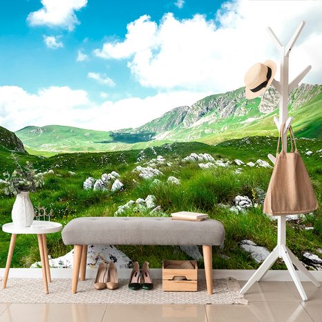 SELF ADHESIVE WALL MURAL VALLEY IN MONTENEGRO - SELF-ADHESIVE WALLPAPERS - WALLPAPERS