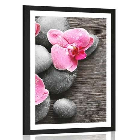 PLAKAT Z PASSE-PARTOUT ELEGANCKA KOMPOZYCJA Z KWIATAMI ORCHIDEI - FENG SHUI - PLAKATY