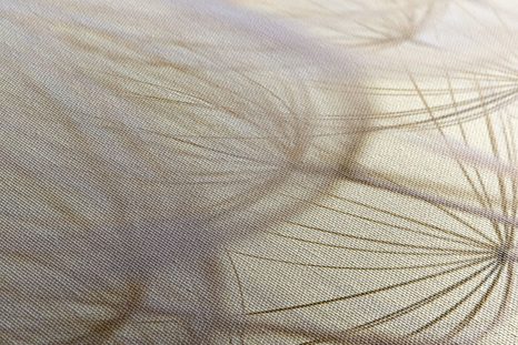 OBRAZ PAMPELIŠKOVÉ SEMENA - OBRAZY - TOTÁLNÍ VÝPRODEJ 🔥