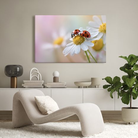 OBRAZ BERUŠKY NA KVĚTINĚ - OBRAZY ZVÍŘAT - OBRAZY
