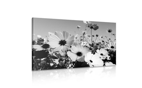 STAMPA SU TELA – PRATO DI FIORI PRIMAVERILI IN BIANCO E NERO - QUADRI BIANCO E NERO - STAMPE E QUADRI