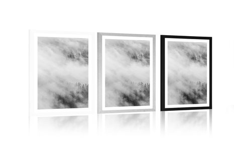 AFFICHE – FORÊT BRUMEUSE EN NOIR ET BLANC - NOIR ET BLANC - AFFICHES
