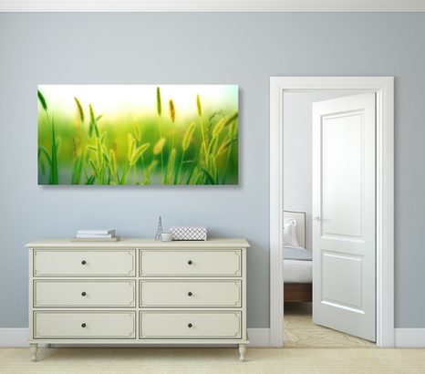 CANVAS PRINT GRASS BLADES IN GREEN DESIGN - PICTURES - 🔥 TOTAL SALE 🔥